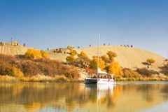 外出随拍（689）.