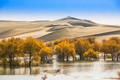 外出随拍（689）.