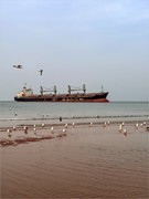 2026年-威海海滩风光旅拍-0191