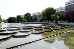 河边光影（1）