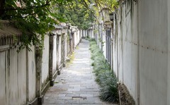 庐州印象（690）