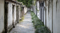 庐州印象（690）