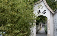 庐州印象（690）