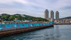 大 连 老 虎 滩 菱 角 湾