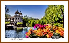 走进长白山二道白河一独行吉林2025（027）延边州安图县