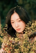 奕树又开了