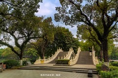 ?桂林 · 两江四湖 · 榕湖