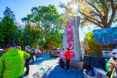 黄山市风景区随拍