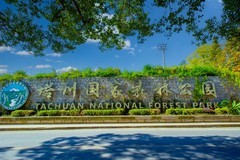 黄山市风景区随拍