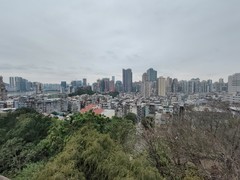 外出随拍（880）.