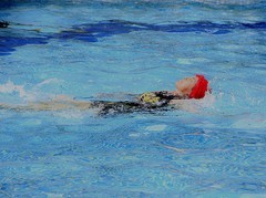 1049【不老松：二游海南纪实】临高长島兰湾二期泳池的泳者！