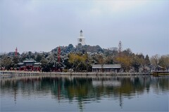 2026年第0184贴 - 北海公园风光旅拍（0311）