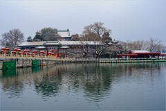 2026年第0184贴 - 北海公园风光旅拍（0311）
