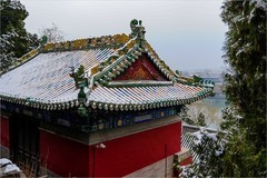 2026年第0184贴 - 北海公园风光旅拍（0311）