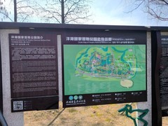 漫步星城 （1023）洋湖湿地公园