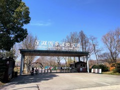 漫步星城 （1023）洋湖湿地公园