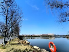 漫步星城 （1023）洋湖湿地公园