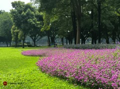 今天的街拍。。。。。。