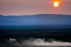 牧人迁徙（27）