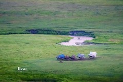 牧人迁徙（27）