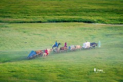 牧人迁徙（27）