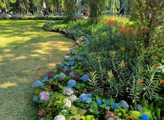 市中心的景色。