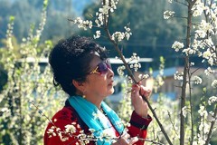 老婆婆逛桃花园