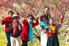 老婆婆逛桃花园