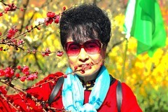 老婆婆逛桃花园