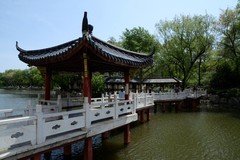 初夏——南湖公园（2）