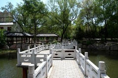 初夏——南湖公园（2）