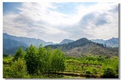 行走蒙阴（九）