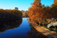 初冬·世纪公园