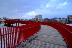 冬日——小提琴长廊（2）