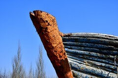 为了这个图片我专门来了一趟西海岸