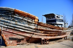 为了这个图片我专门来了一趟西海岸