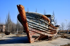 为了这个图片我专门来了一趟西海岸