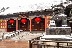 2026颐和春雪之一