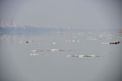 晨雾为大辽河罩上了美丽的嫁纱