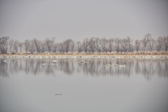 晨雾为大辽河罩上了美丽的嫁纱
