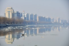 晨雾为大辽河罩上了美丽的嫁纱