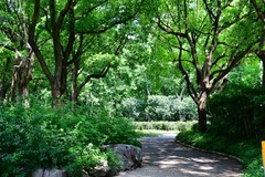 高温酷暑的夏日里背着相机去扫街