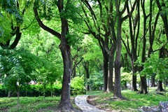 高温酷暑的夏日里背着相机去扫街