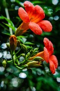花花世界