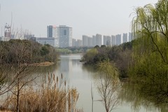 庐州印象（610）