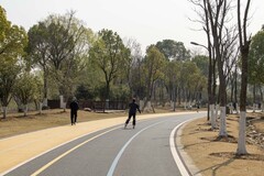 庐州印象（610）