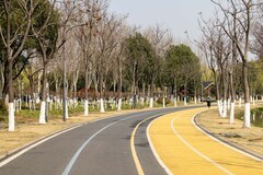 庐州印象（610）