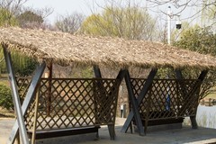 庐州印象（611）