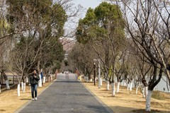 庐州印象（614）