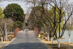 庐州印象（614）